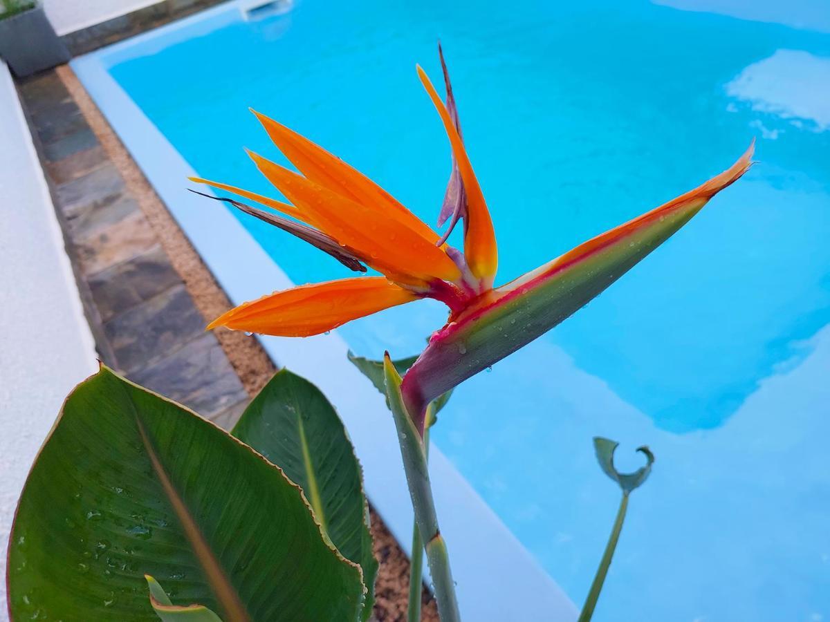 Golden Square Villa & Private Pool Flic-en-Flacq 외부 사진